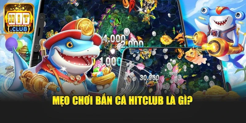 Mẹo chơi bắn cá Hitclub là gì?