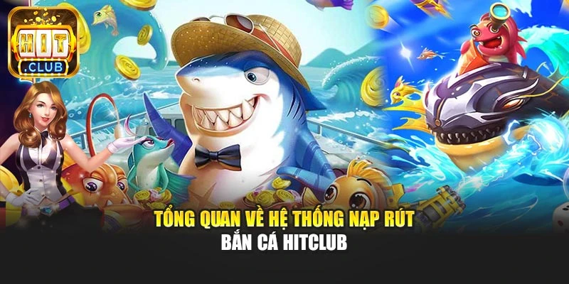 Tổng quan về hệ thống nạp rút bắn cá Hitclub