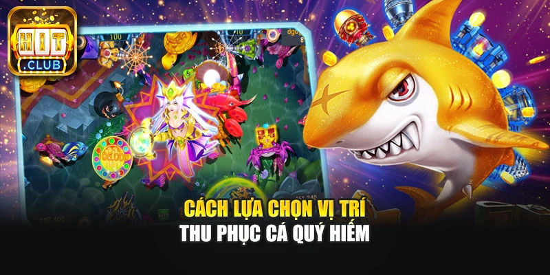 Cách lựa chọn vị trí thu phục cá quý hiếm