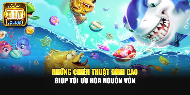 Những chiến thuật đỉnh cao giúp tối ưu hóa nguồn vốn