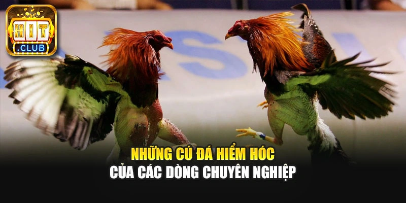 Những cú đá hiểm hóc của các dòng chuyên nghiệp