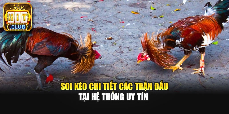 Soi kèo chi tiết các trận đấu tại hệ thống uy tín