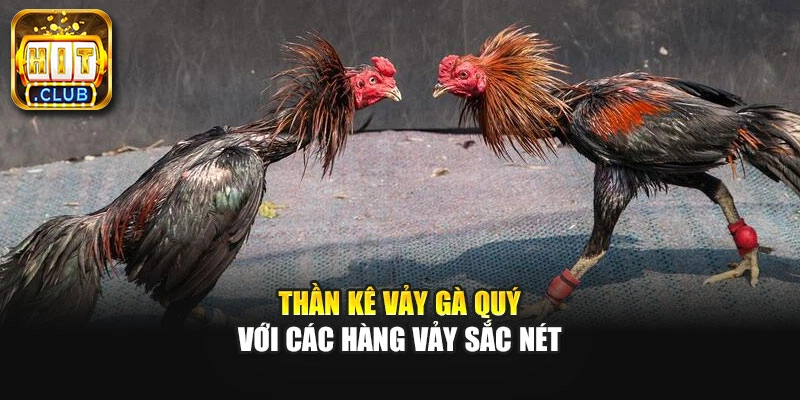 Thần kê vảy gà quý với các hàng vảy sắc nét